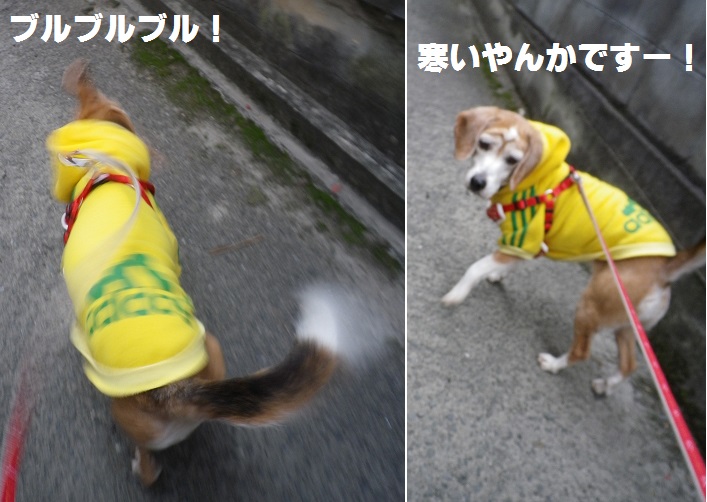 IMGP4453.JPG