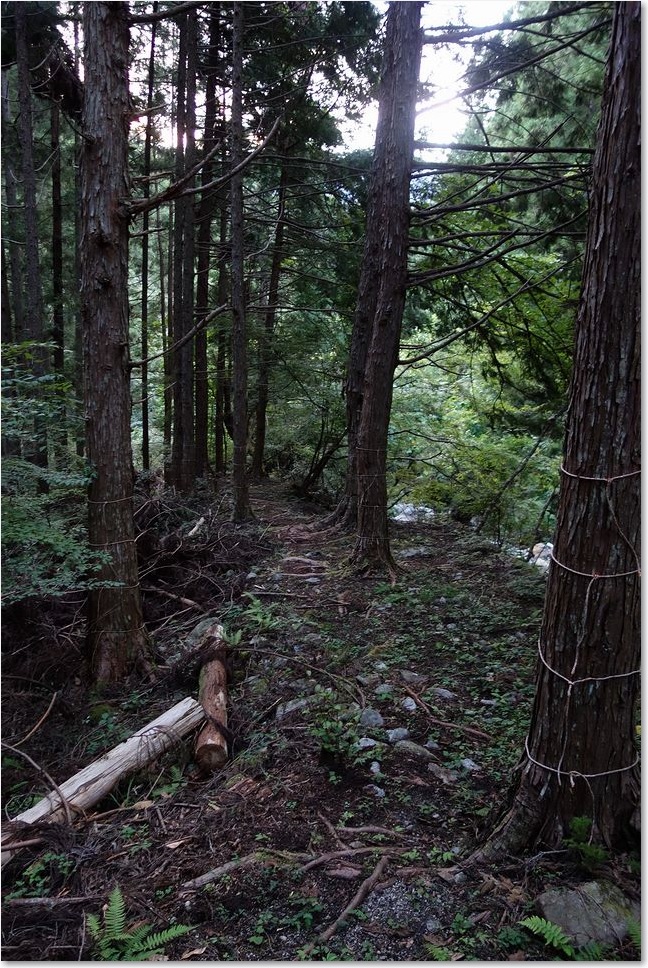 128道ができています