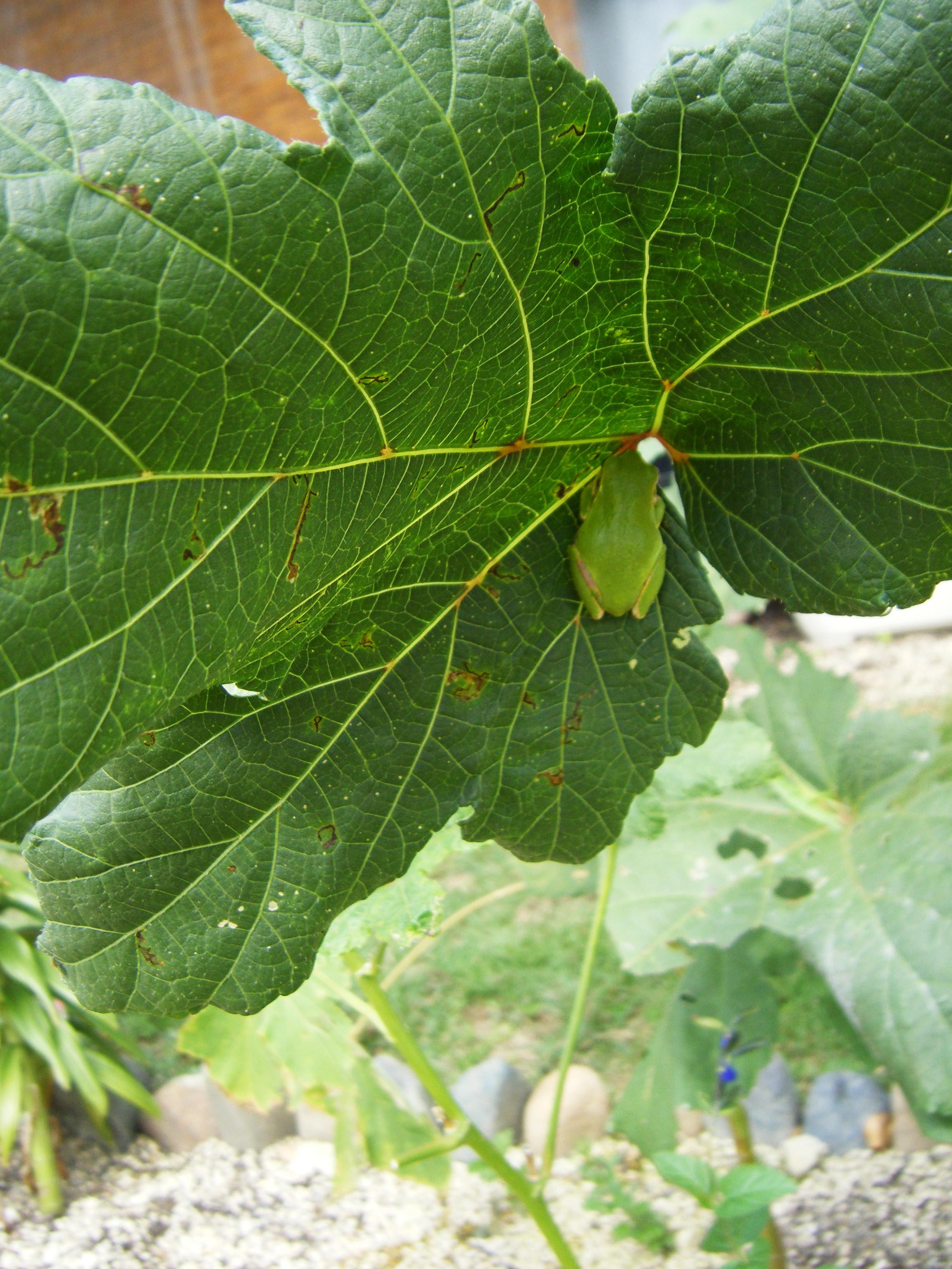 DSCF0574.jpg