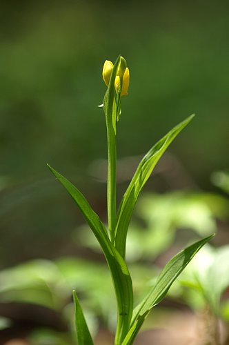 0508-6.jpg