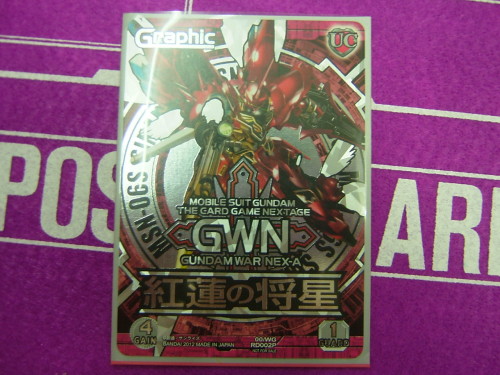 2013.02.03大会 004.jpg