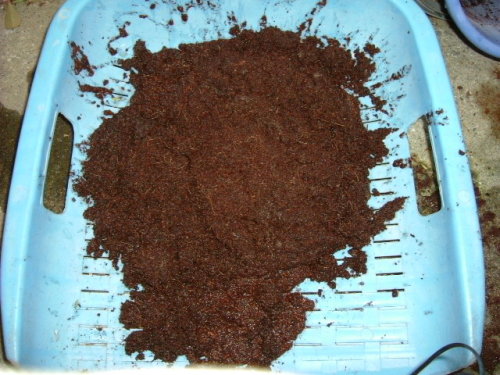 DSCF7575.JPG