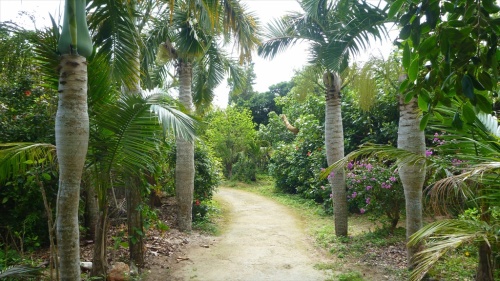 20150223 13053501.JPG