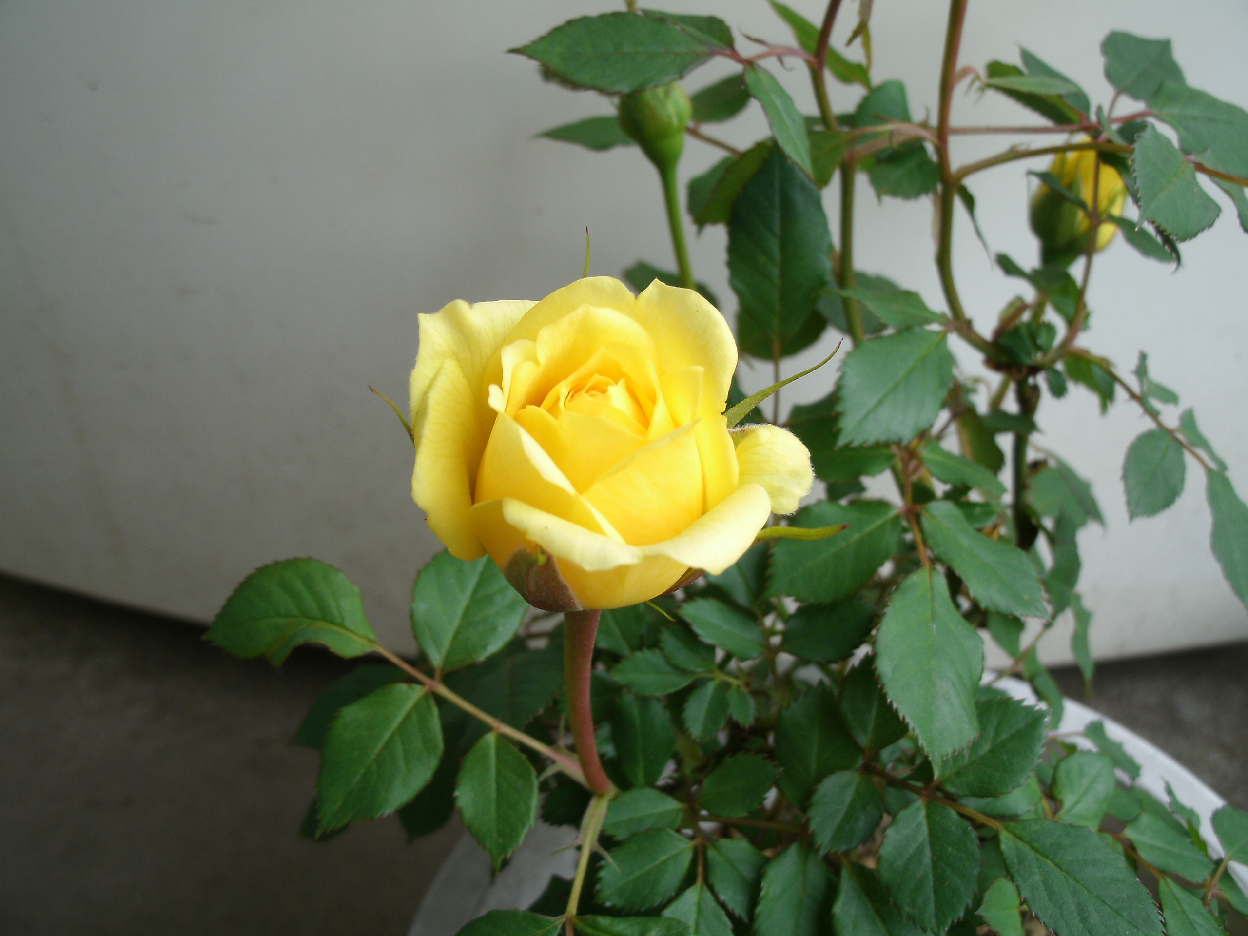 20130424.JPG
