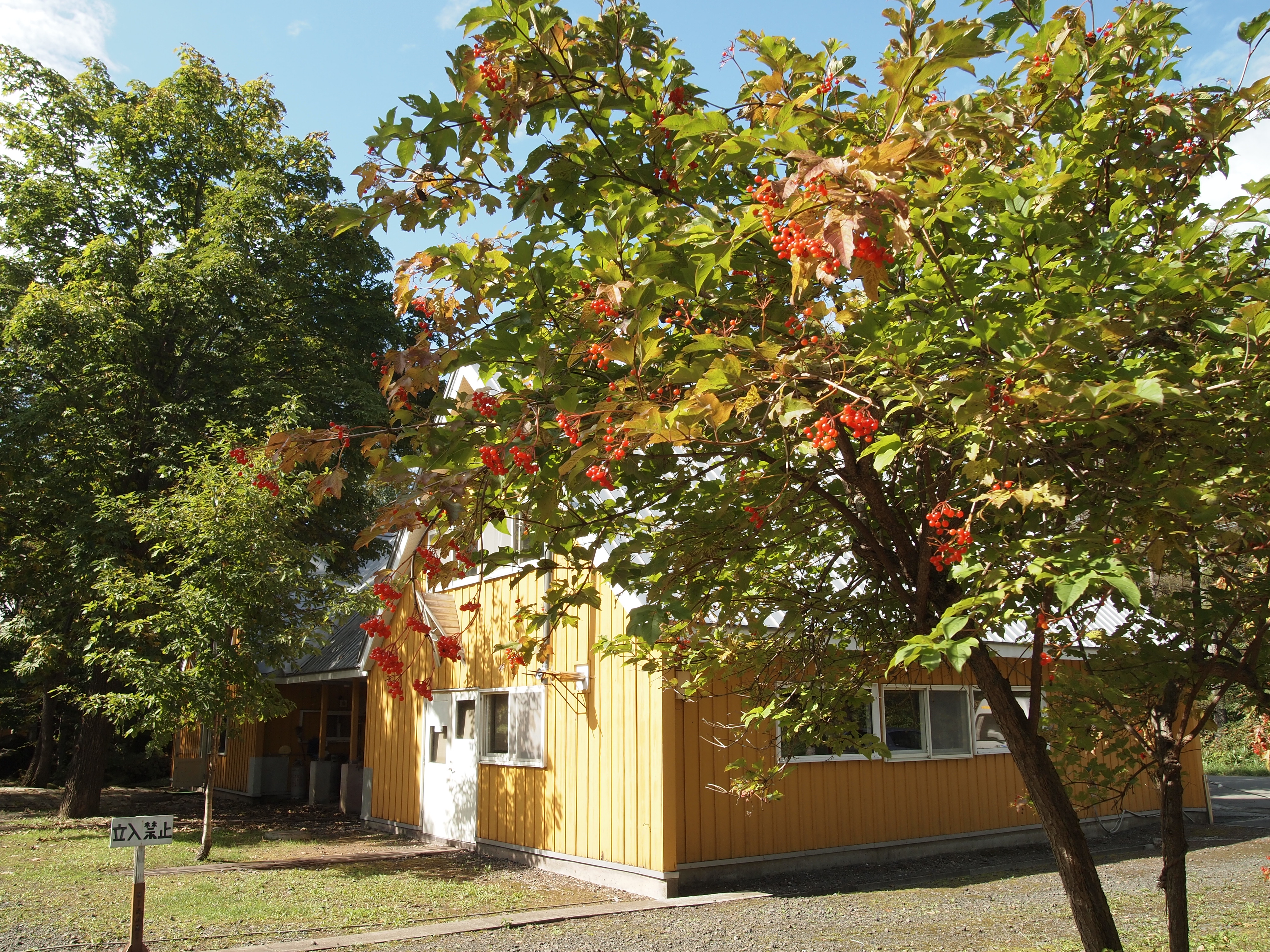PA030390.JPG