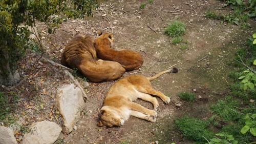 20150420 11461101.JPG