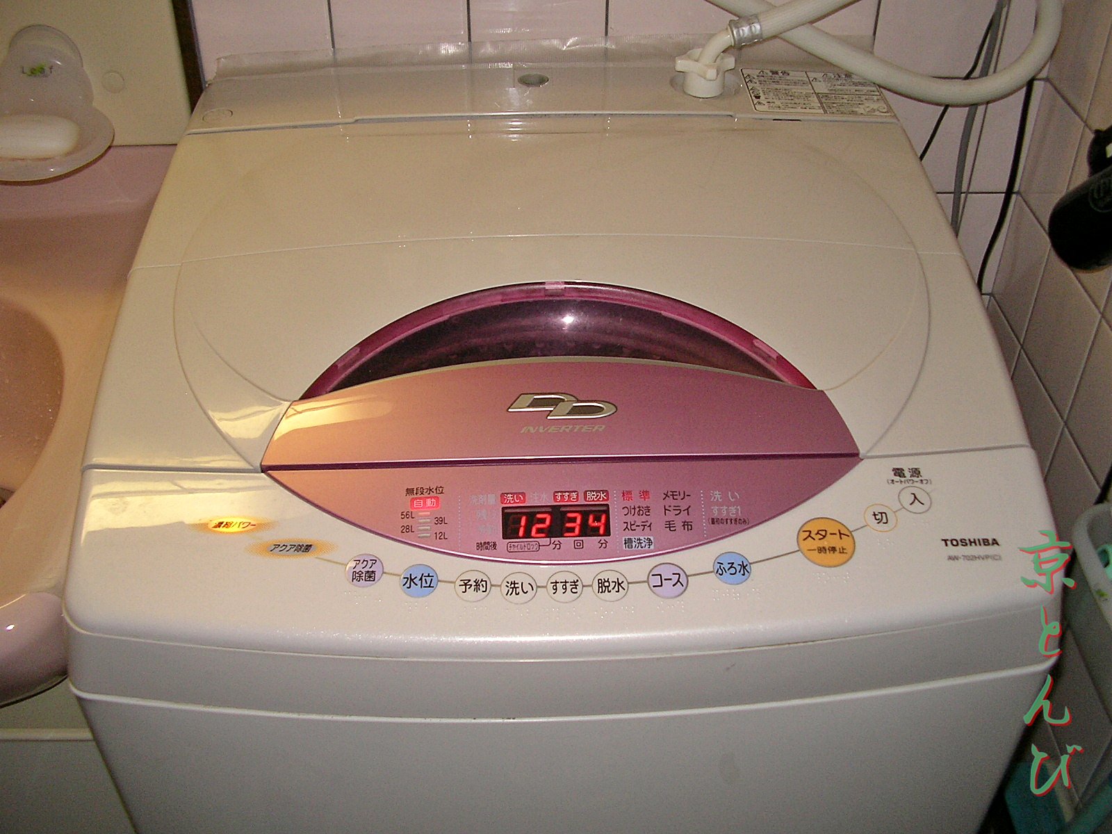 SANY0482.JPG