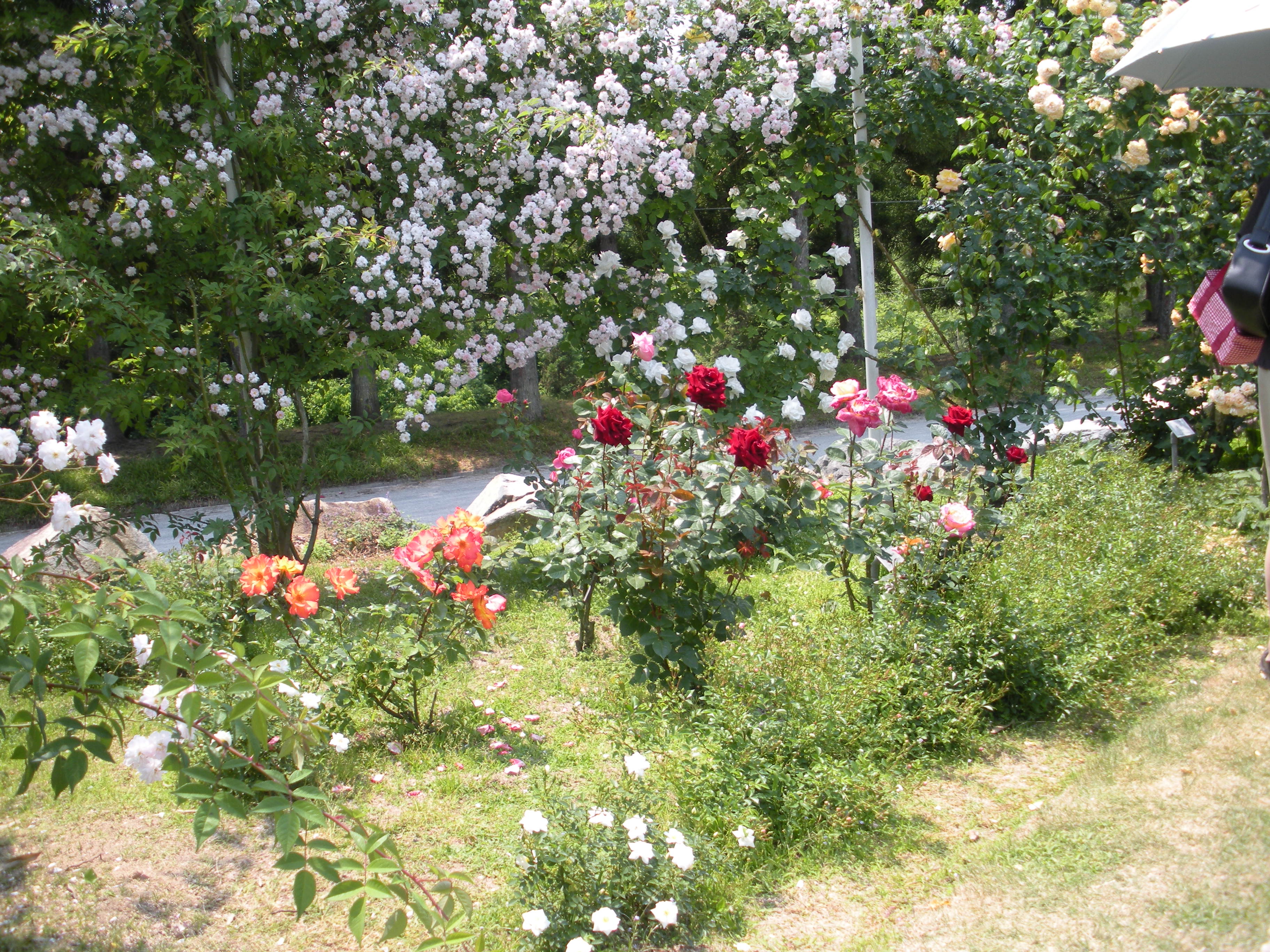 DSCN0280.JPG