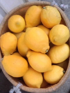 籠いっぱいのレモン
