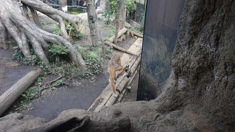 20150318 14215301.JPG