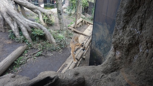 20150318 14215301.JPG