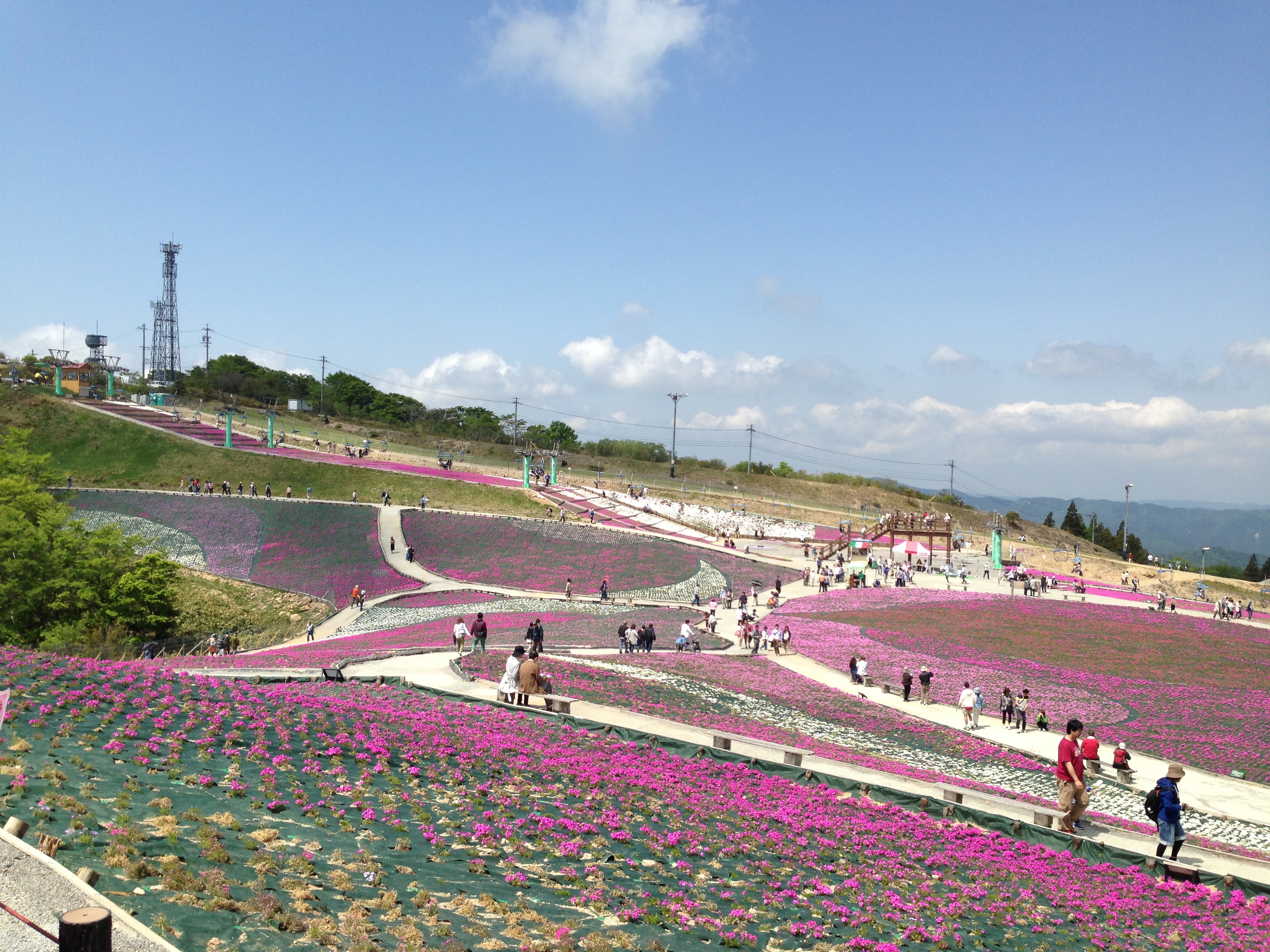 201305251756_1095_iphone.jpg