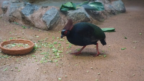 20150318 14294703.JPG