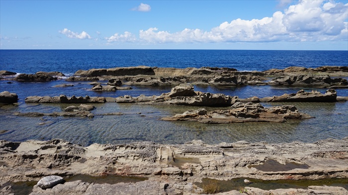 20150914 11094601.jpg