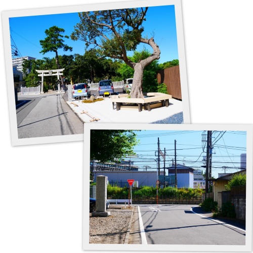 2020-09-04習志野 菊田神社7.jpg