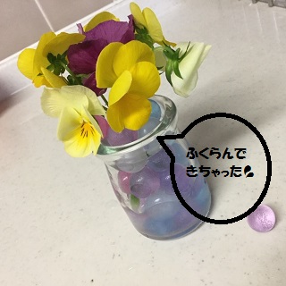IMG_5110.JPG