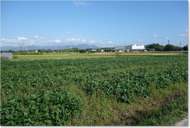 29拡がる畑