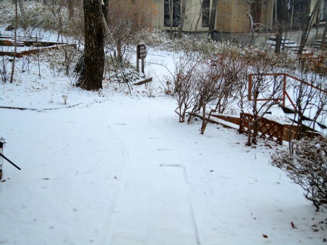 161228garden.jpg
