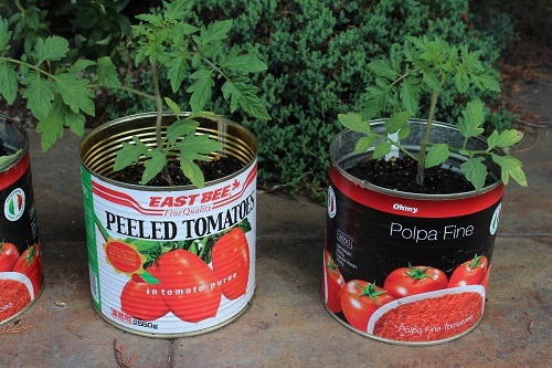 マルブン (14).JPG