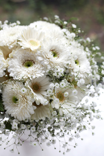 白いガーベラとかすみ草のウェディングブーケ お気楽にお花を飾りましょ Atelier 一凜 楽天ブログ