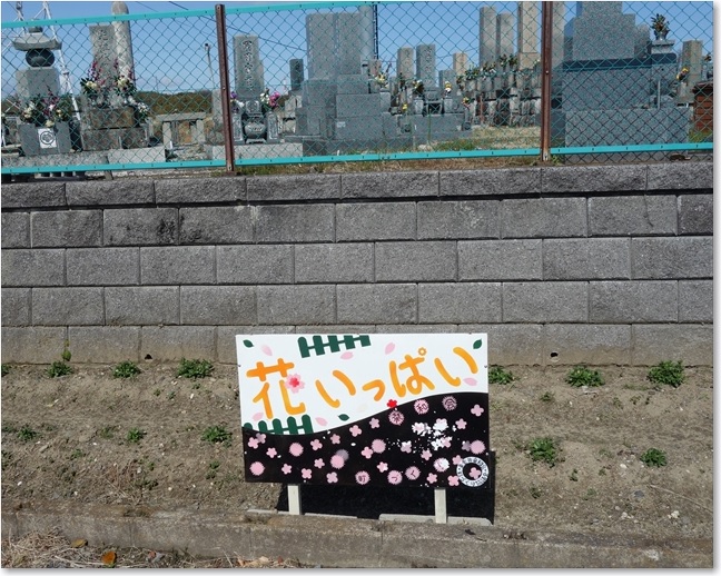 84墓地の手前に花壇？