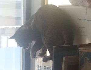 300 20140119_121015.jpg