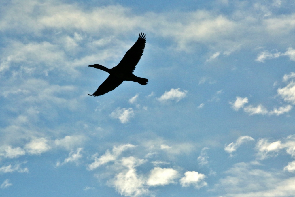 B97A5890 (1024x683).jpg