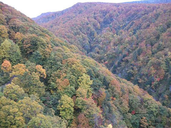 C:\fakepath\121022城ヶ倉１.jpg