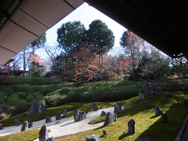 P1270309.JPG