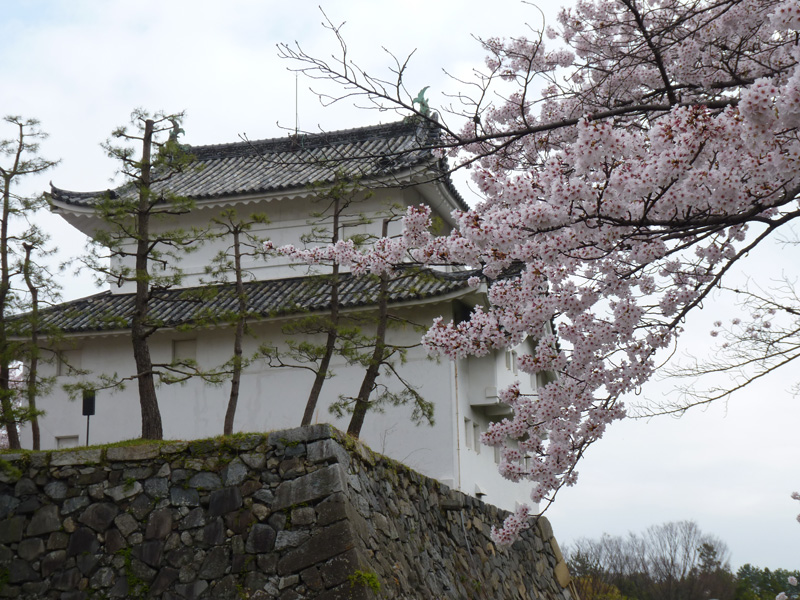 nagoyajyo-w030.jpg