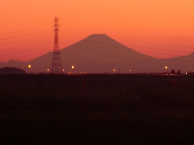 CIMG0893-1.jpg