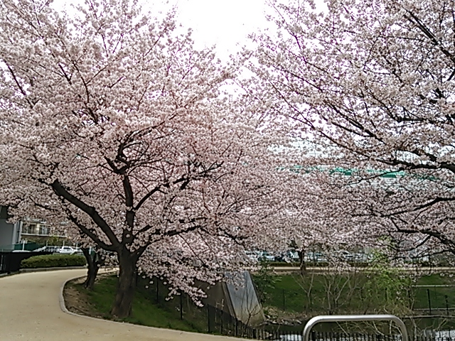 DSC_1865.JPG
