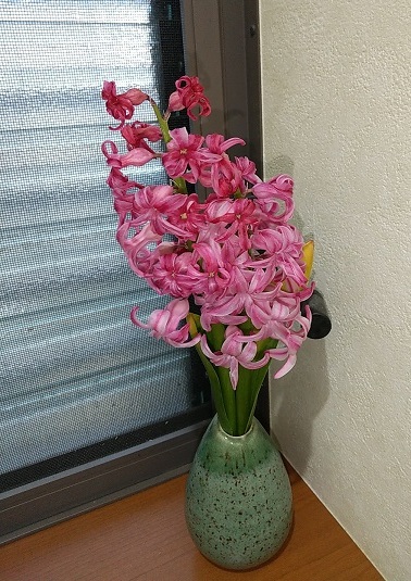DSC_4985.JPG