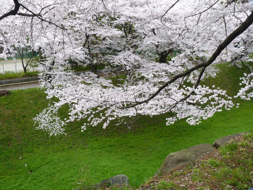 nagoyajyo-w013.jpg