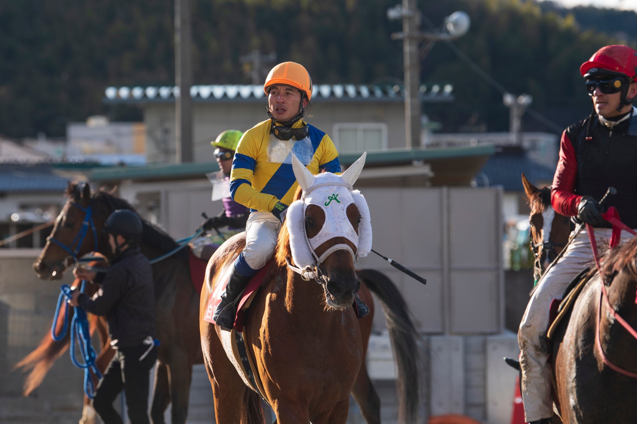 モズオラクル白鷺賞木村提供ａ.jpg