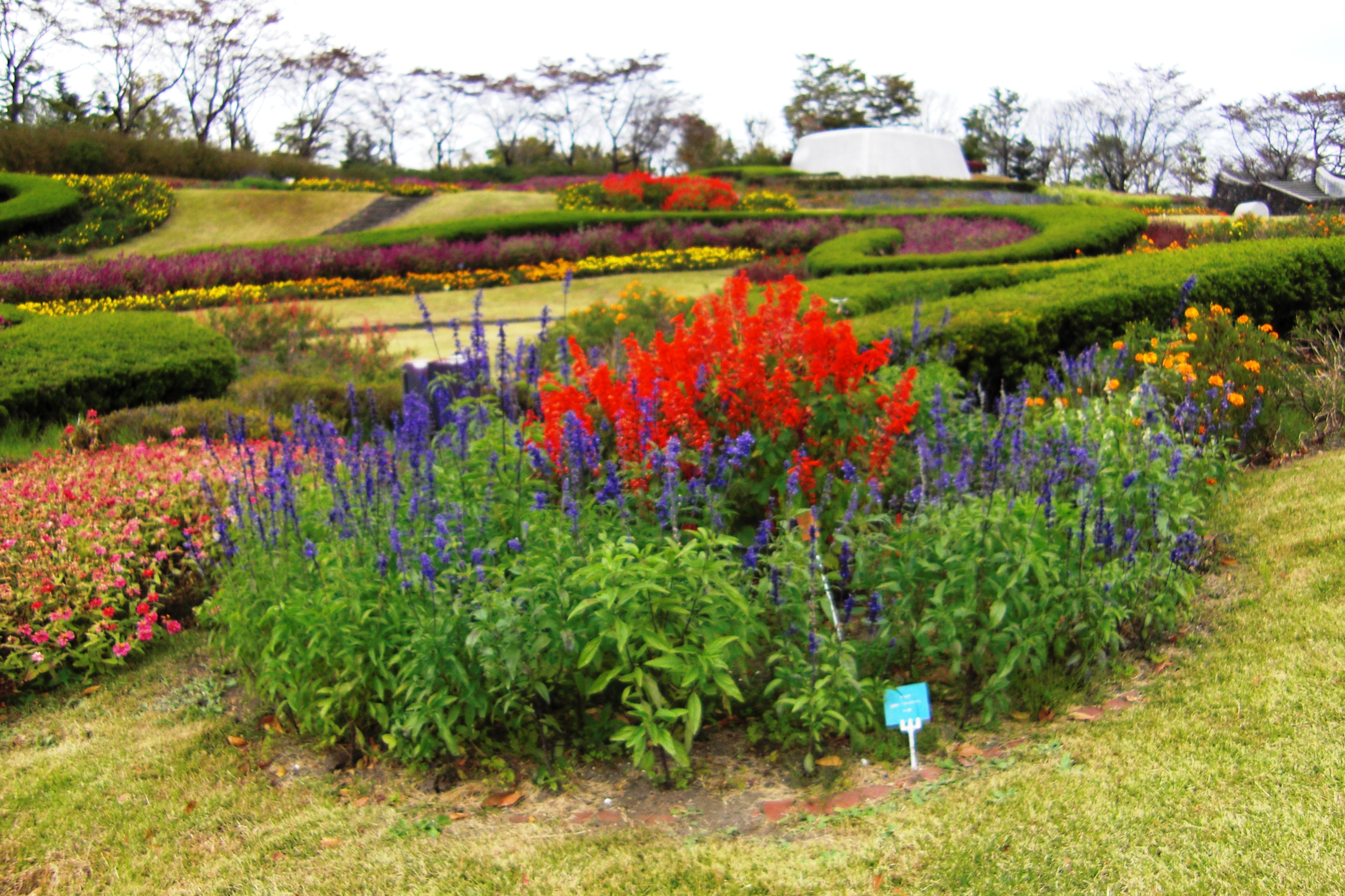 2016-10-25蔵王日帰りで佐々木氏と (48).JPG