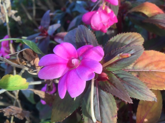 201512182119_4042_iphone.jpg