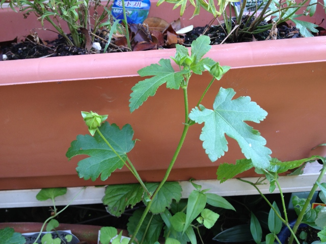 IMG_9282 (640x480).jpg