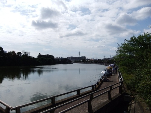 水元公園の釣堀20121008.JPG