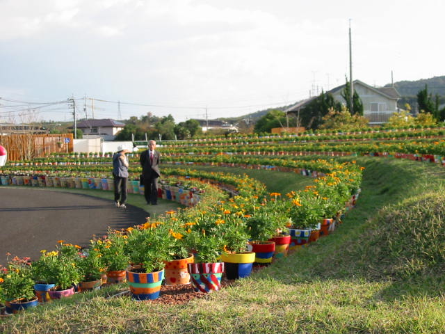 ryokkatottori 044.JPG