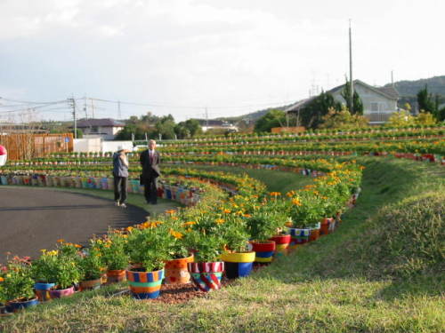 ryokkatottori 044.JPG