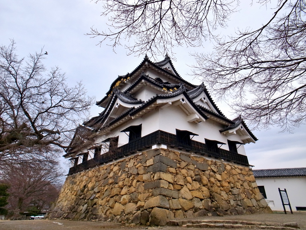 R0050443 (1024x768).jpg