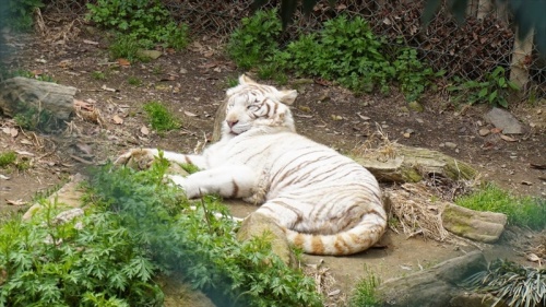 20150420 11472701.JPG