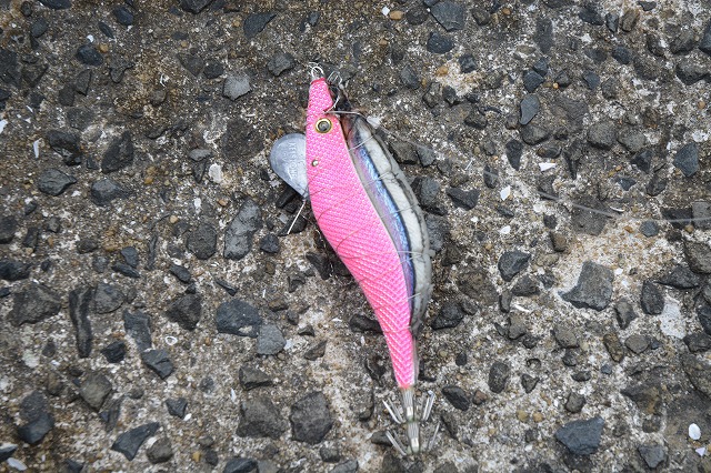 showPhoto (640×426)