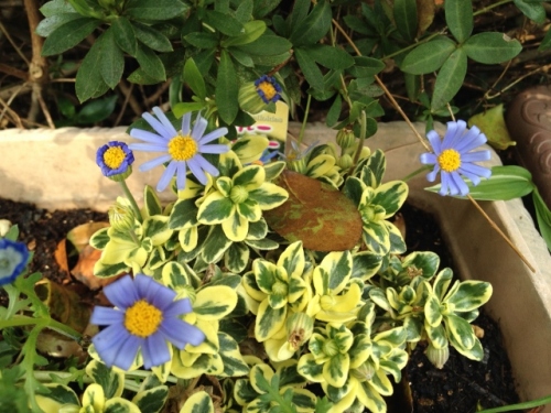 IMG_6962 (640x480).jpg