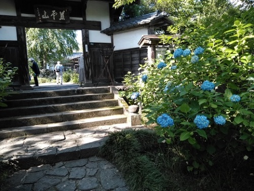 仙台の紫陽花寺 資福寺 あじさい寺 おばさんのつぶやき 楽天ブログ