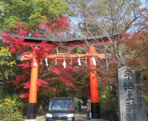 宇治 宇治上神社 (6).jpg