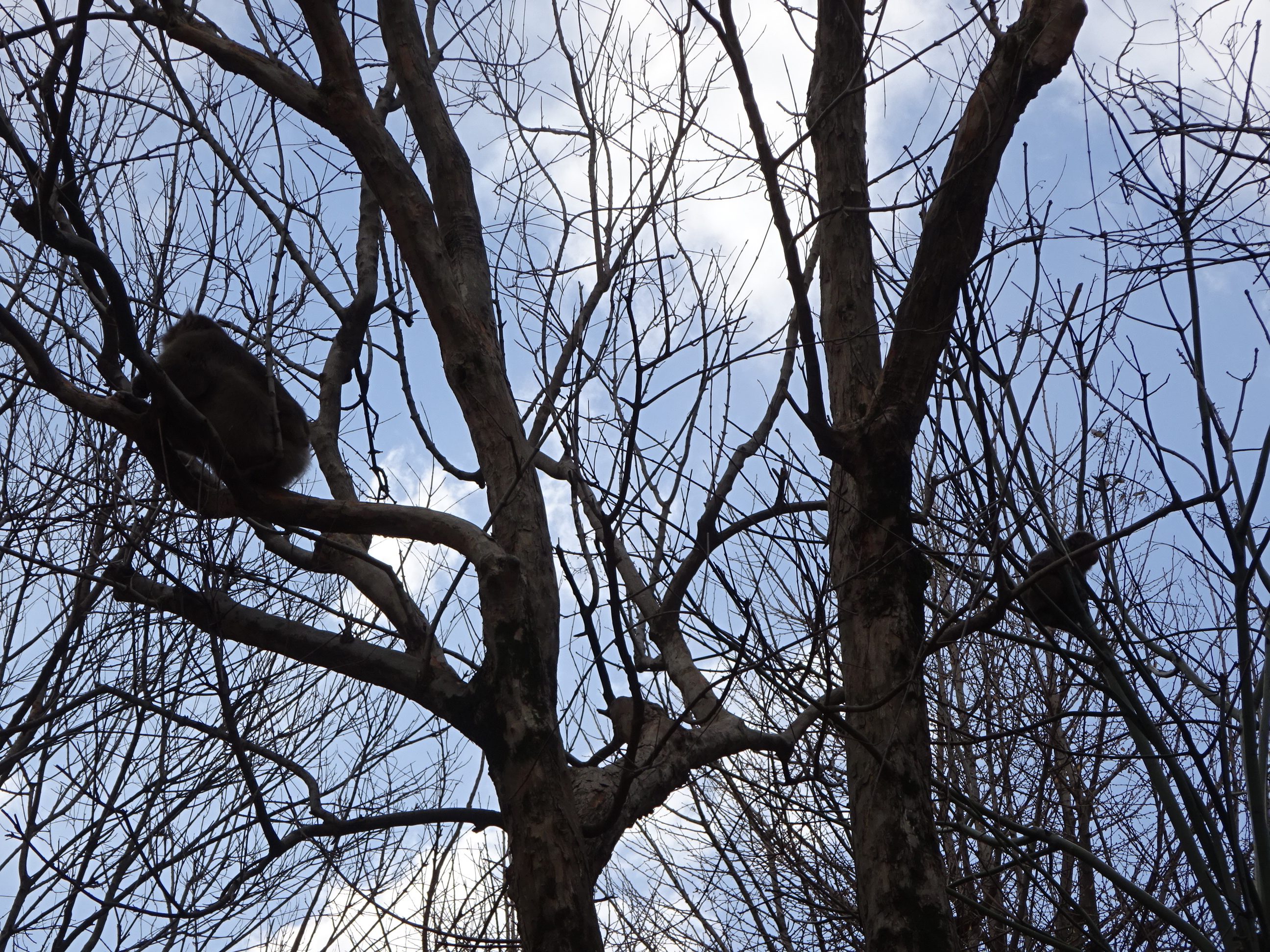 ナンチュウの恋 (10).JPG