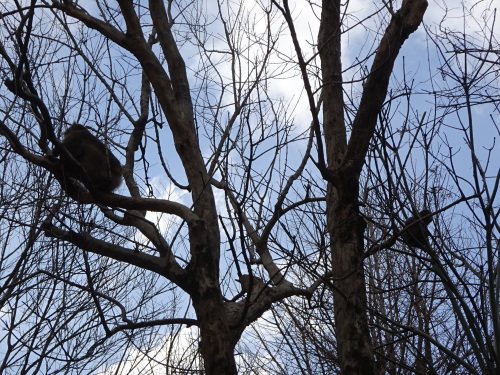 ナンチュウの恋 (10).JPG