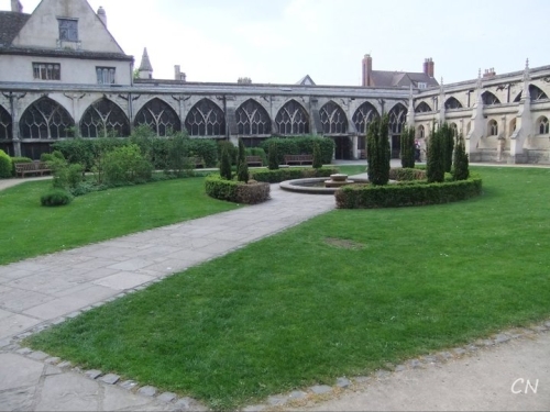 224318_10150169645112821_3523656_n[1] (2).jpg